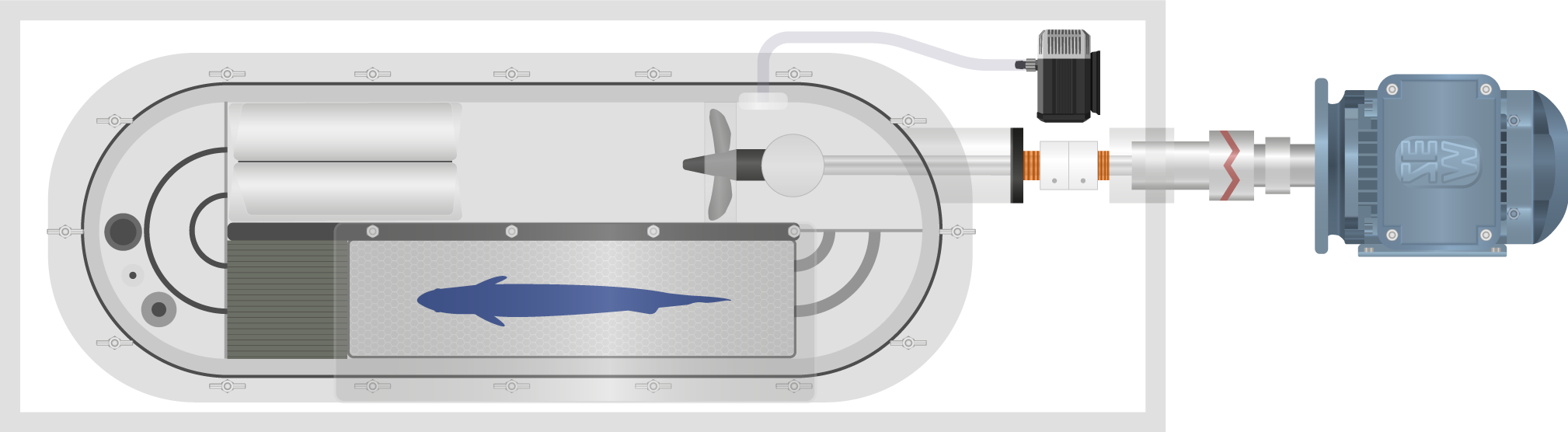 Large swim tunnel